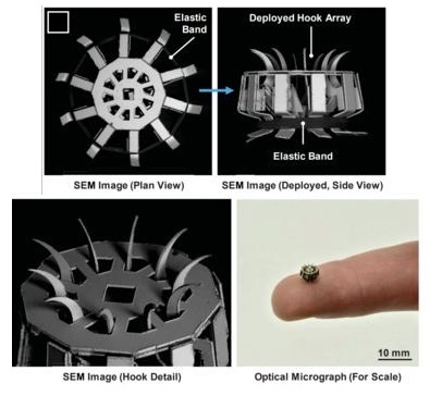 Image: Scanning electron micrographs of the fully assembled mechanism shown in both retracted (fully armed) and deployed configurations. The hook assembly is shown in detail as well as an accompanying optical photograph of the same model, with a finger for scale.(Photo courtesy of Maquignaz et al.)